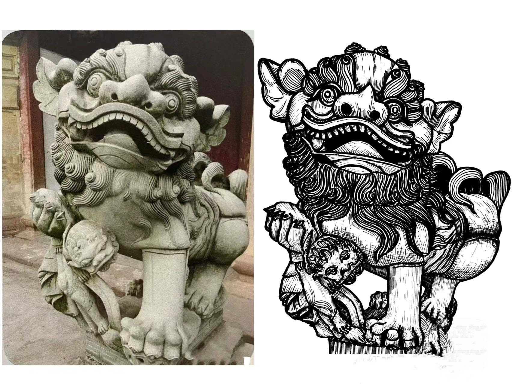 1.样品图狮子.jpg